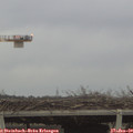 16_10-mast.jpg