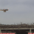 16_15-mast.jpg