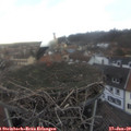 16_20-nest.jpg
