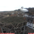 16_40-nest.jpg