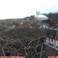 16_45-nest.jpg