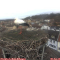 08_10-nest.jpg