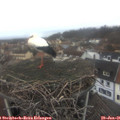 08_15-nest.jpg
