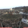 08_20-nest.jpg