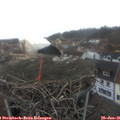 08_25-nest.jpg