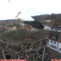 08_30-nest.jpg