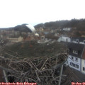 08_35-nest.jpg