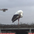 08_45-mast.jpg