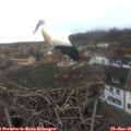 08_45-nest.jpg