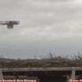 08_55-mast.jpg
