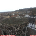 08_55-nest.jpg
