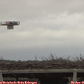 09_00-mast.jpg