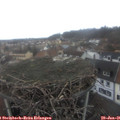 09_05-nest.jpg