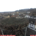 09_15-nest.jpg