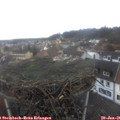 09_20-nest.jpg