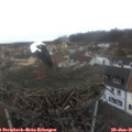 09_30-nest.jpg