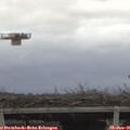 09_55-mast.jpg