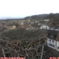 09_55-nest.jpg