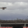 10_00-mast.jpg