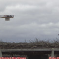 10_05-mast.jpg