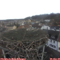10_05-nest.jpg