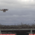10_10-mast.jpg