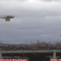 10_15-mast.jpg