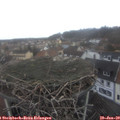 10_15-nest.jpg