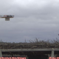10_20-mast.jpg