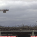 10_25-mast.jpg