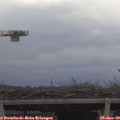 10_30-mast.jpg