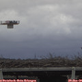 10_35-mast.jpg