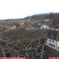 10_35-nest.jpg