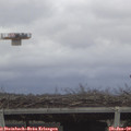 10_40-mast.jpg