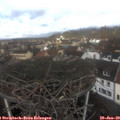 11_05-nest.jpg