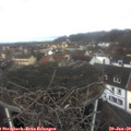 11_35-nest.jpg