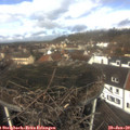 11_40-nest.jpg