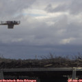 11_45-mast.jpg