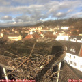 11_50-nest.jpg