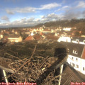 11_55-nest.jpg
