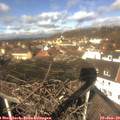 12_00-nest.jpg