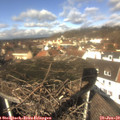 12_05-nest.jpg