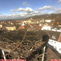 12_10-nest.jpg