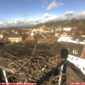 12_15-nest.jpg