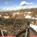 12_20-nest.jpg