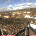 12_25-nest.jpg