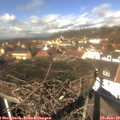 12_30-nest.jpg