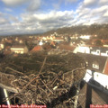12_35-nest.jpg