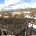 12_45-nest.jpg