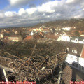 12_50-nest.jpg